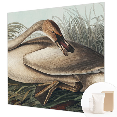 Nowoczesna fototapeta do salonu Naturalny ptak