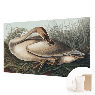 Nowoczesna fototapeta do salonu Naturalny ptak