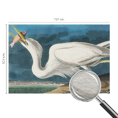 Fototapeta fizelinowa z nadrukiem Fototapeta fizelinowa z nadrukiem Ptak z rybą