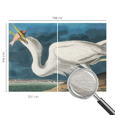 Fototapeta fizelinowa z nadrukiem Fototapeta fizelinowa z nadrukiem Ptak z rybą