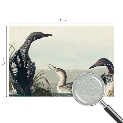 Fototapeta fizelinowa z nadrukiem Ptaki nad wodą