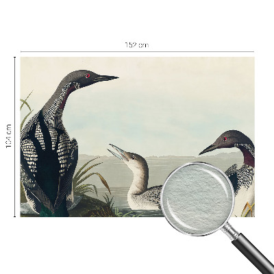 Fototapeta fizelinowa z nadrukiem Ptaki nad wodą