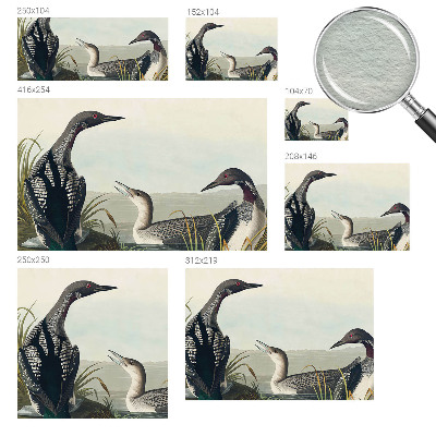 Fototapeta fizelinowa z nadrukiem Ptaki nad wodą