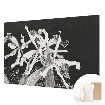Fototapeta fizelinowa do sypialni z ilustracją orchidei