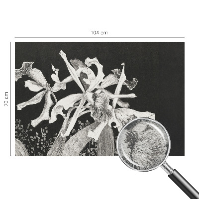 Fototapeta fizelinowa do sypialni z ilustracją orchidei