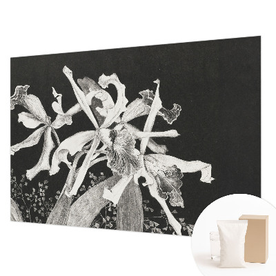 Fototapeta fizelinowa do sypialni z ilustracją orchidei