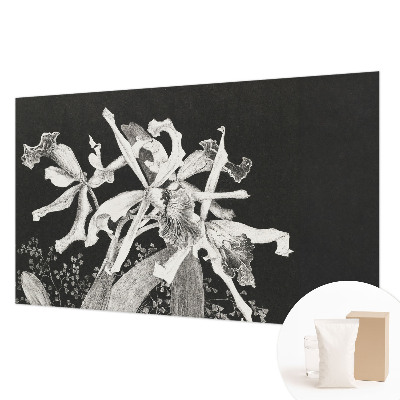 Fototapeta fizelinowa do sypialni z ilustracją orchidei