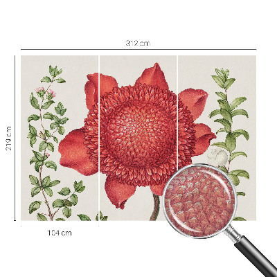 Tapeta fotograficzna Kwiatowa elegancja