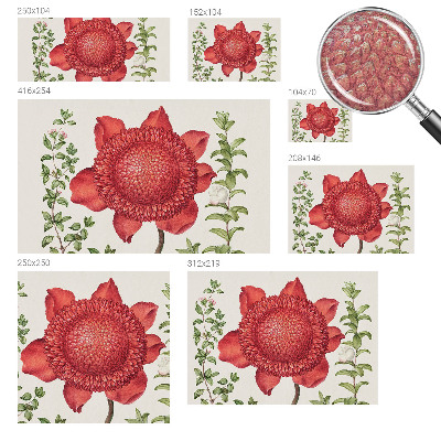 Tapeta fotograficzna Kwiatowa elegancja