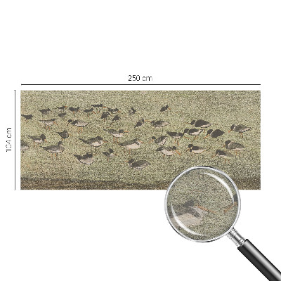 Fototapeta na ścianę Fototapeta na ścianę Ptasi spokój