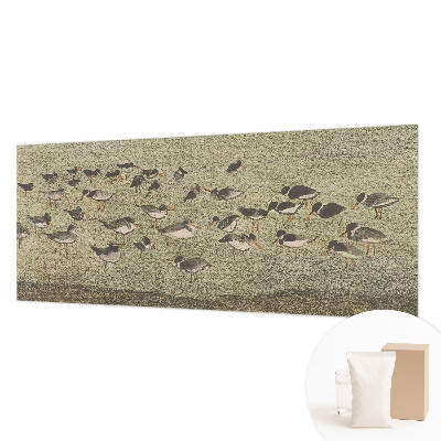 Fototapeta na ścianę Fototapeta na ścianę Ptasi spokój