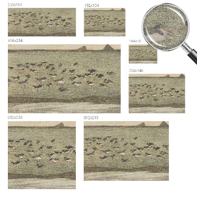 Fototapeta na ścianę Fototapeta na ścianę Ptasi spokój