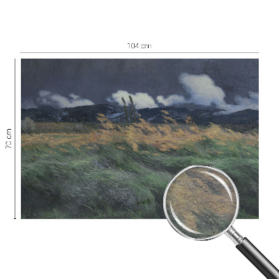 Tapeta fotograficzna fizelinowa Tapeta fotograficzna fizelinowa Dmuchane trawy