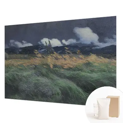 Tapeta fotograficzna fizelinowa z motywem dmuchanych traw