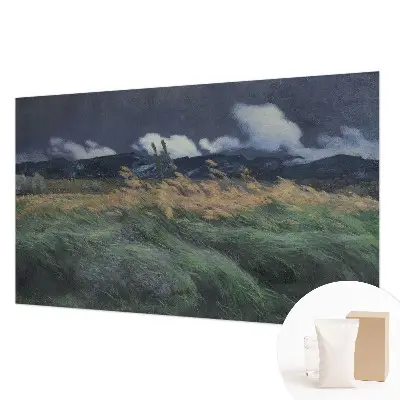Tapeta fotograficzna fizelinowa z motywem dmuchanych traw