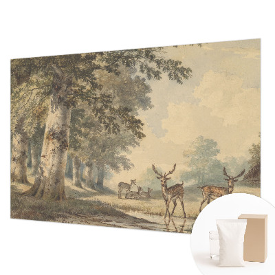 Nowoczesna fototapeta do salonu Nowoczesna fototapeta do salonu Leśny spokój