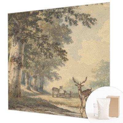 Nowoczesna fototapeta do salonu Leśny spokój