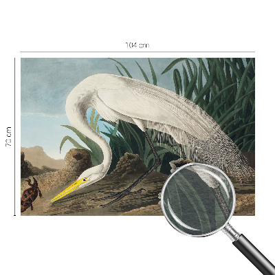 Dekoracyjna fototapeta na ścianę Dekoracyjna fototapeta na ścianę Majestatyczna czapla