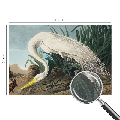 Dekoracyjna fototapeta na ścianę Dekoracyjna fototapeta na ścianę Majestatyczna czapla