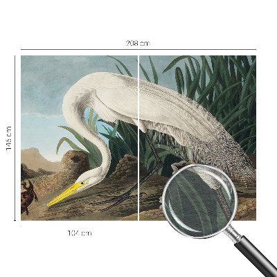 Dekoracyjna fototapeta na ścianę Dekoracyjna fototapeta na ścianę Majestatyczna czapla