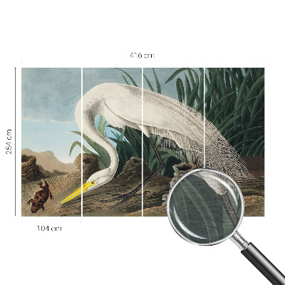 Dekoracyjna fototapeta na ścianę Dekoracyjna fototapeta na ścianę Majestatyczna czapla