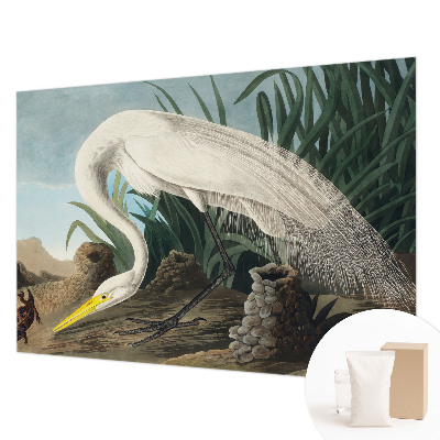 Dekoracyjna fototapeta na ścianę Dekoracyjna fototapeta na ścianę Majestatyczna czapla