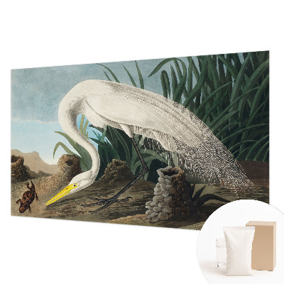 Dekoracyjna fototapeta na ścianę Dekoracyjna fototapeta na ścianę Majestatyczna czapla