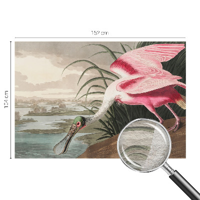 Fototapeta fizelinowa z nadrukiem Fototapeta fizelinowa z nadrukiem Egzotyczny ptak