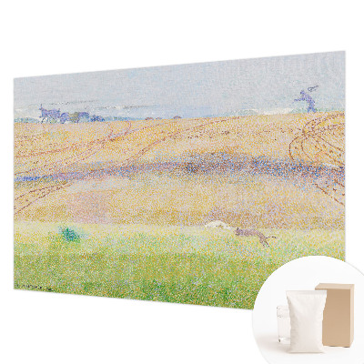 Fototapeta fizelinowa do sypialni z motywem letniego pola