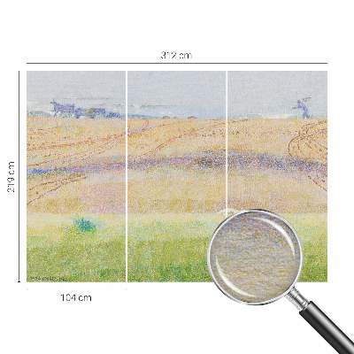 Fototapeta fizelinowa do sypialni Fototapeta fizelinowa do sypialni Letnie pole