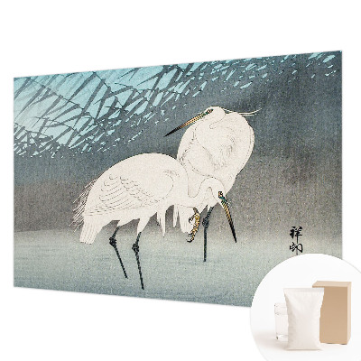 Tapeta fotograficzna Tapeta fotograficzna Delikatne ptaki