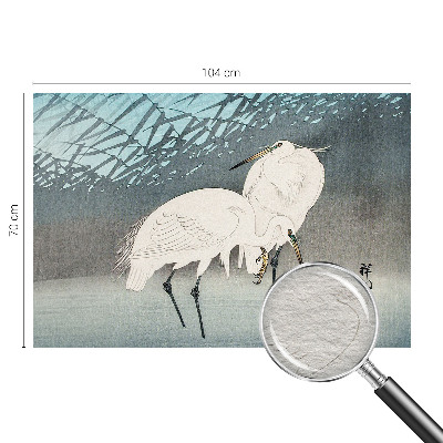 Tapeta fotograficzna Tapeta fotograficzna Delikatne ptaki