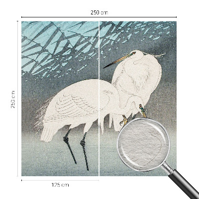 Tapeta fotograficzna Tapeta fotograficzna Delikatne ptaki