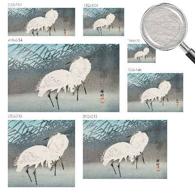 Tapeta fotograficzna Tapeta fotograficzna Delikatne ptaki