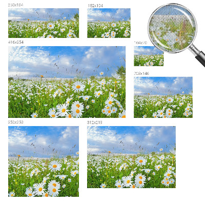 Tapeta fotograficzna z motywem letniej łąki