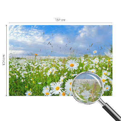 Tapeta fotograficzna z motywem letniej łąki