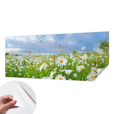 Tapeta fotograficzna z motywem letniej łąki