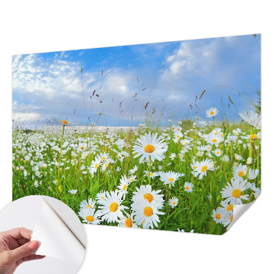 Tapeta fotograficzna z motywem letniej łąki