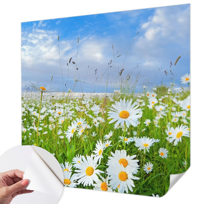 Tapeta fotograficzna z motywem letniej łąki