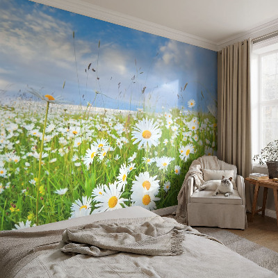 Tapeta fotograficzna z motywem letniej łąki