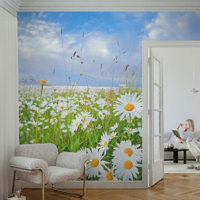 Tapeta fotograficzna z motywem letniej łąki