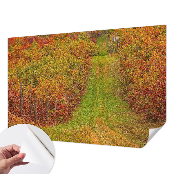 Fototapeta na ścianę z motywem w jesiennych barwach