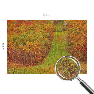 Fototapeta na ścianę z motywem w jesiennych barwach