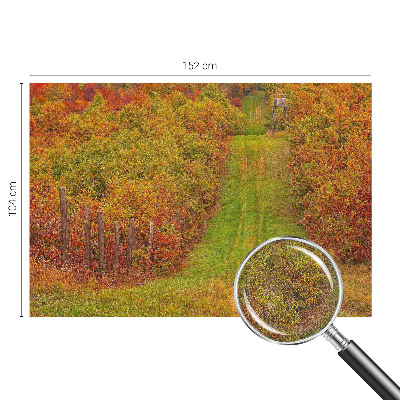 Fototapeta na ścianę z motywem w jesiennych barwach