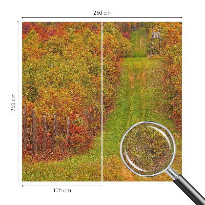 Fototapeta na ścianę Fototapeta na ścianę