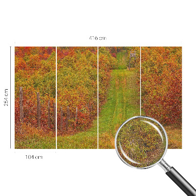 Fototapeta na ścianę z motywem w jesiennych barwach