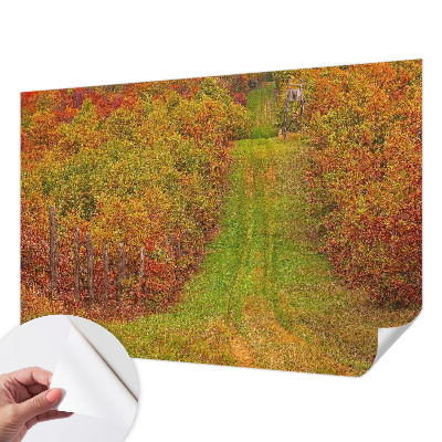Fototapeta na ścianę z motywem w jesiennych barwach