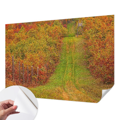 Fototapeta na ścianę z motywem w jesiennych barwach
