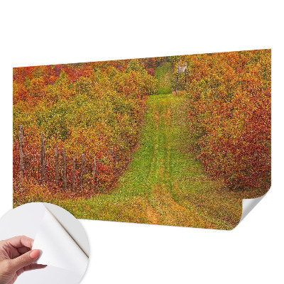 Fototapeta na ścianę z motywem w jesiennych barwach