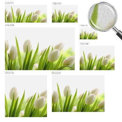 Fototapeta samoprzylepna z nadrukiem z białymi tulipanami